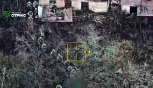 Подразделения "Стрикс" и "STAR" разнесли ударными дронами колонну российской пехоты в Харьковской области. ВИДЕО