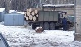 В Харькове снова вырубают лес. ФОТО