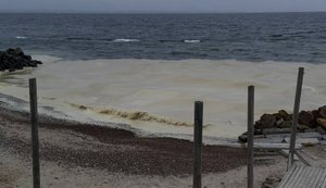 Внаслідок ударів РФ по порту в Одесі стався витік олії у Чорне море. ФОТОрепортаж