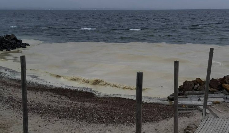 Внаслідок ударів РФ по порту в Одесі стався витік олії у Чорне море. ФОТОрепортаж