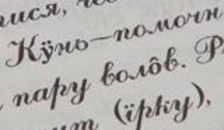 Как звучат стихи Пушкина и песня про Ленина на языке русинов. ВИДЕО.