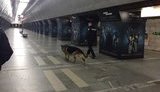 5 центральних станцій і пересадочні переходи київського метро закрито через повідомлення про замінування