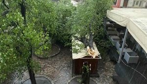 В результате непогоды обесточены 339 населенных пунктов в восьми областях Украины
