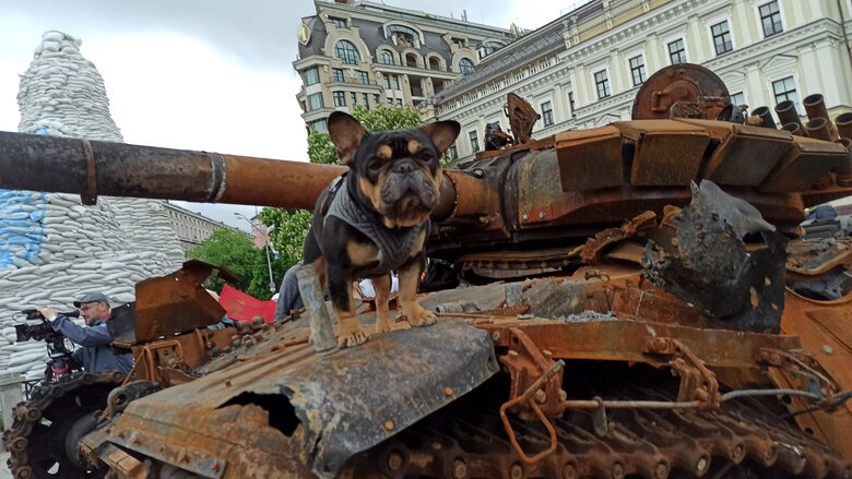 Танк, БМД та Тигр: В центрі Києва відкрилась виставка демілітаризованої техніки російських окупантів 26