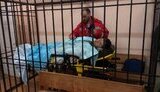 Роман Насіров