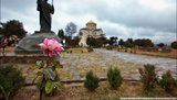 Аномально теплая зима в Крыму: Повсюду распустились цветы. ФОТОрепортаж
