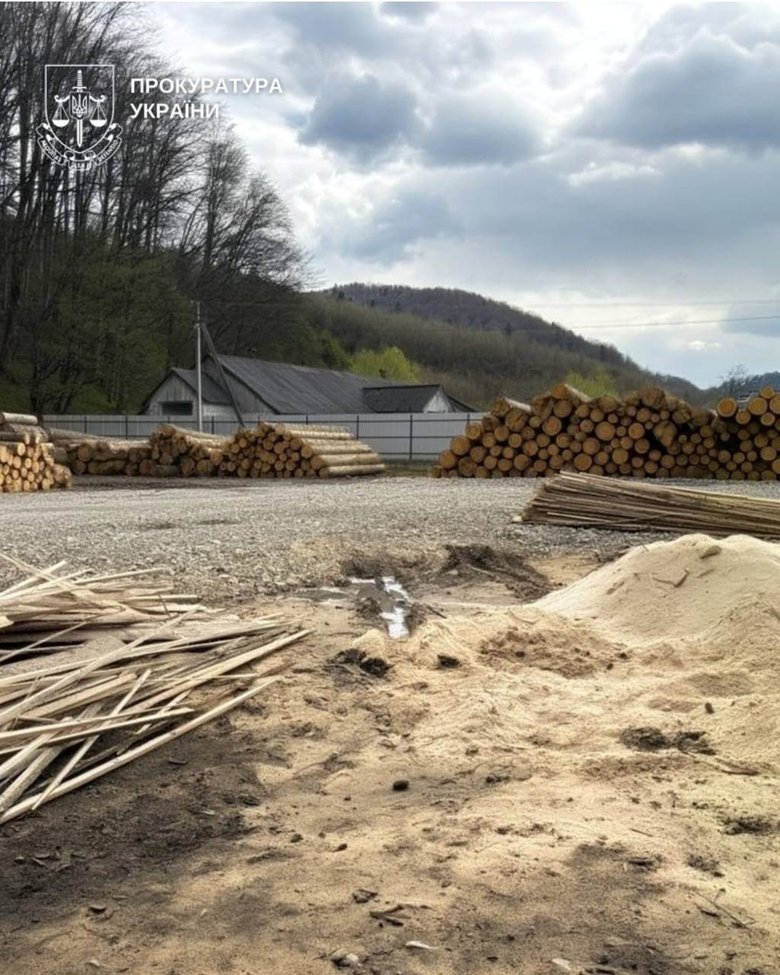 На Буковині викрили "тіньовий" експорт лісу до Молдови
