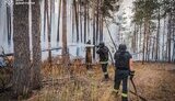 Ліквідовано масштабну пожежу в парку Святі гори на Донеччині