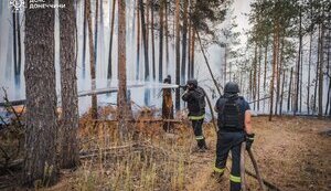 Large-scale forest fire has been extinguished in Holy Mountains Nature Park in Donetsk region: Fire raged for 8 days, destroying 43 houses. PHOTO