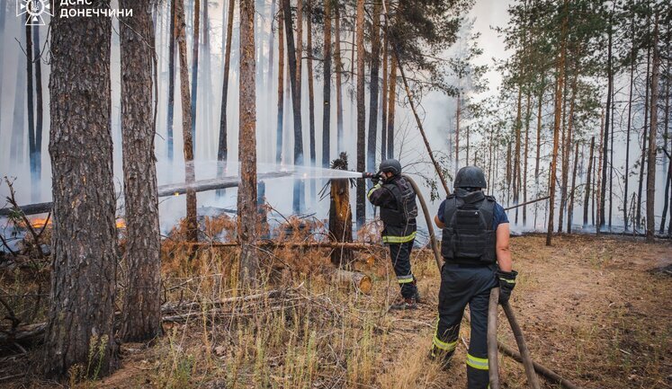 Large-scale forest fire has been extinguished in Holy Mountains Nature Park in Donetsk region: Fire raged for 8 days, destroying 43 houses. PHOTO