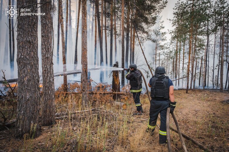 Ліквідовано масштабну пожежу в парку Святі гори на Донеччині