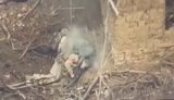 росіянин застрелився на полі бою