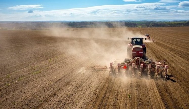 Ukraine lost 25% of sown areas due to war, - Ministry of Agrarian Policy