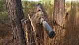 разведка
