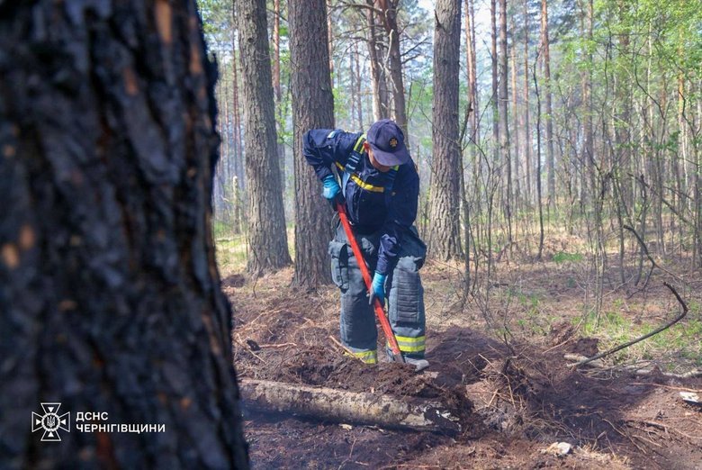 На Чернігівщині загасили велику лісову пожежу, що охопила сотні гектарів