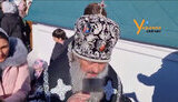 лебедь,павло