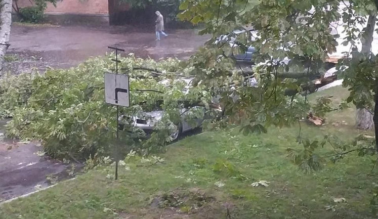 Злива зі шквальним вітром накрила Полтаву увечері 6 серпня. ФОТОрепортаж