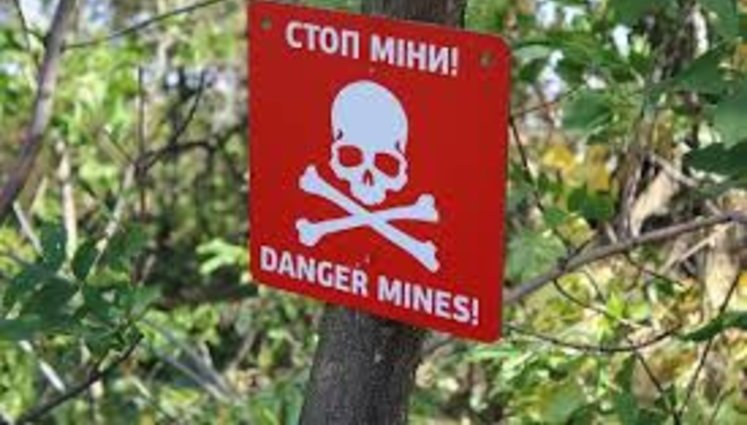 За четыре года от мин на Донбассе погибли 482 человека, в том числе 21 ребенок, - Минобороны