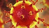 Ukraine reports 12,915 new COVID-19 cases