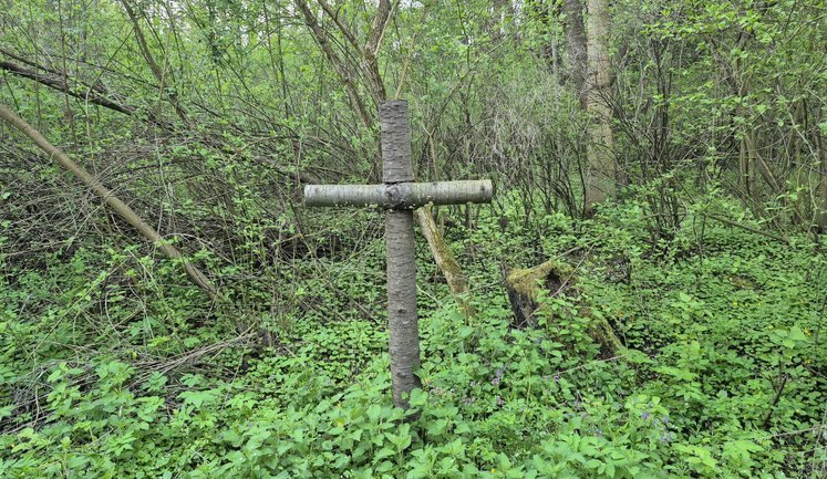 На месте уничтоженных сел Волыни начали поиск захоронений жертв трагедии 1943 года