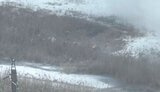 окупанти,тікають