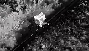 Дронарі бригади "Буревій" за тиждень знищили 171 FPV-дрон та 56 "Молній" на Добропільському напрямку. ВIДЕО
