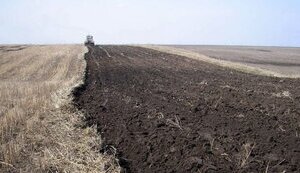 Як буде проводитись земельна реформа