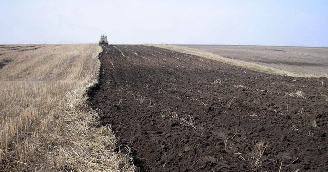 Як буде проводитись земельна реформа 01