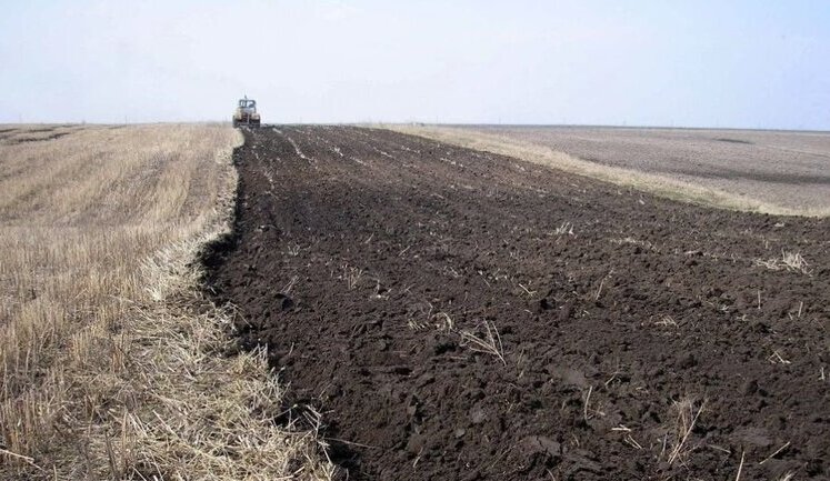 Як буде проводитись земельна реформа