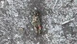 war