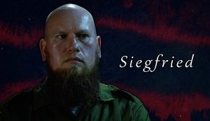 Контрактник ВСУ и бундесвера, гражданин Германии Зигфрид: В Украине две армии - одна воюет, другая создана манипуляторами общественного сознания. ВИДЕО