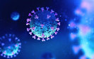 Ukraine reports 8,346 new coronavirus cases