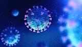 Ukraine reports 8,346 new coronavirus cases