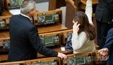Богословская устроила в Раде показ страшилок. ФОТОрепортаж