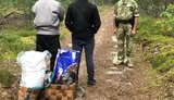 Двое жителей Ривненщины в зоне отчуждения ЧАЭС собирали чернику на продажу, - Госпогранслужба. ФОТОрепортаж