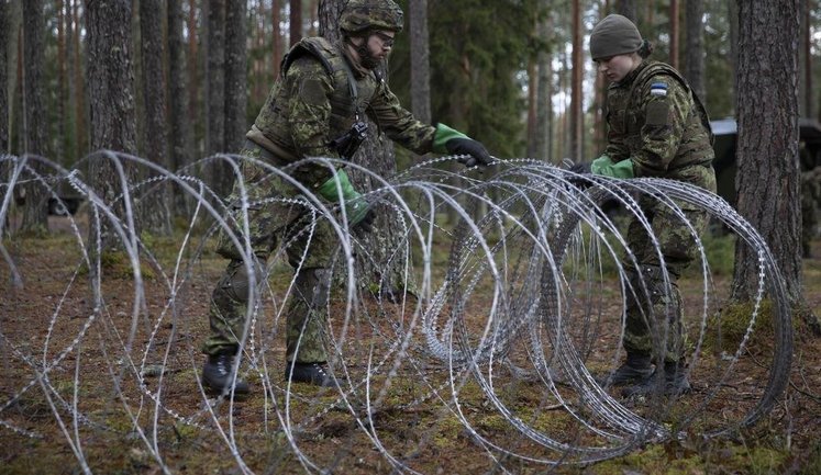 Румынская граница остается самой популярной среди уклонистов: с начала года задержано 2900 человек