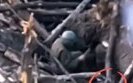 Russian hits drone with stick