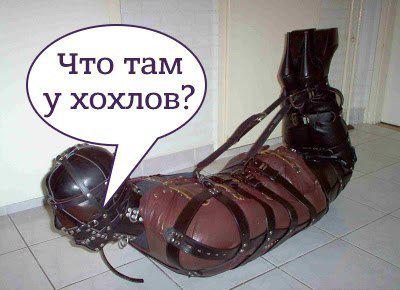 россия