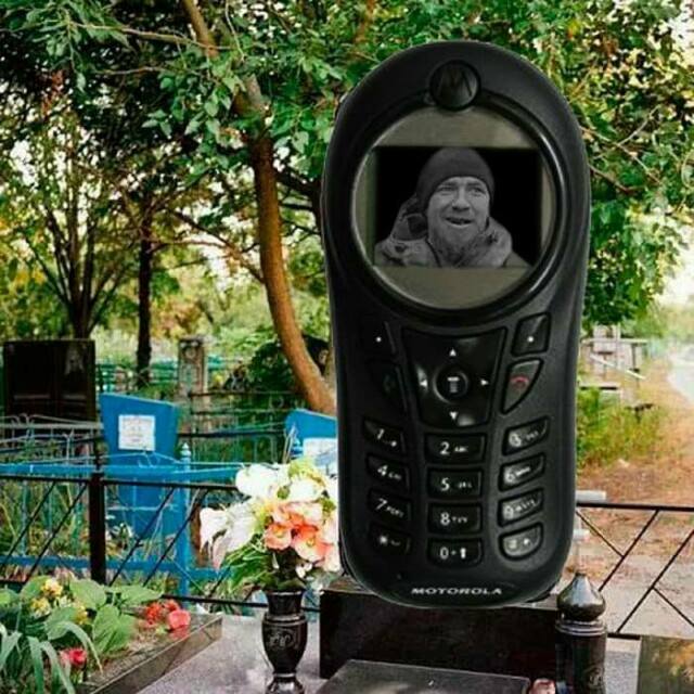 днр