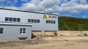 Компания Avellana Gold показала фабрику на Мужиевском месторождении полиметаллов