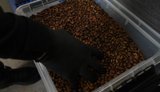 На Київщині ліквідували масштабне виробництво підробленої кави