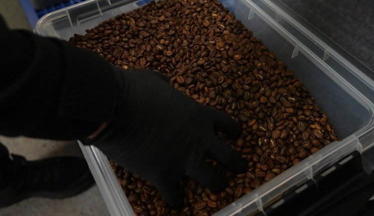 На Київщині ліквідували масштабне виробництво підробленої кави Lavazza. Вартість вилученого сягає 20 мільйонів. ФОТОрепортаж