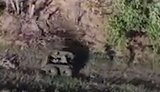 The robot evacuated the wounded defender 20 metres from Russian positions.
