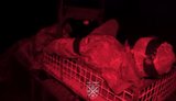 Бойцы 155-й бригады вывезли раненого из зоны боевых действий с помощью наземных роботизированных комплексов