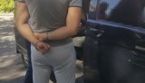 взятка лес