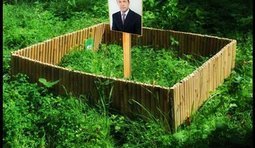 От благодарных пенсионеров