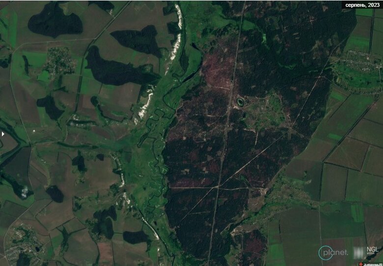 Ліси Харківщини