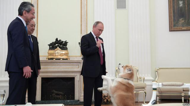 путин