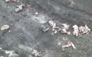 ліквідовані окупанти