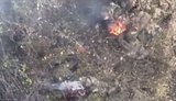 Оператор дрона-камикадзе уничтожил одним ударом двух российских штурмовиков. ВИДЕО